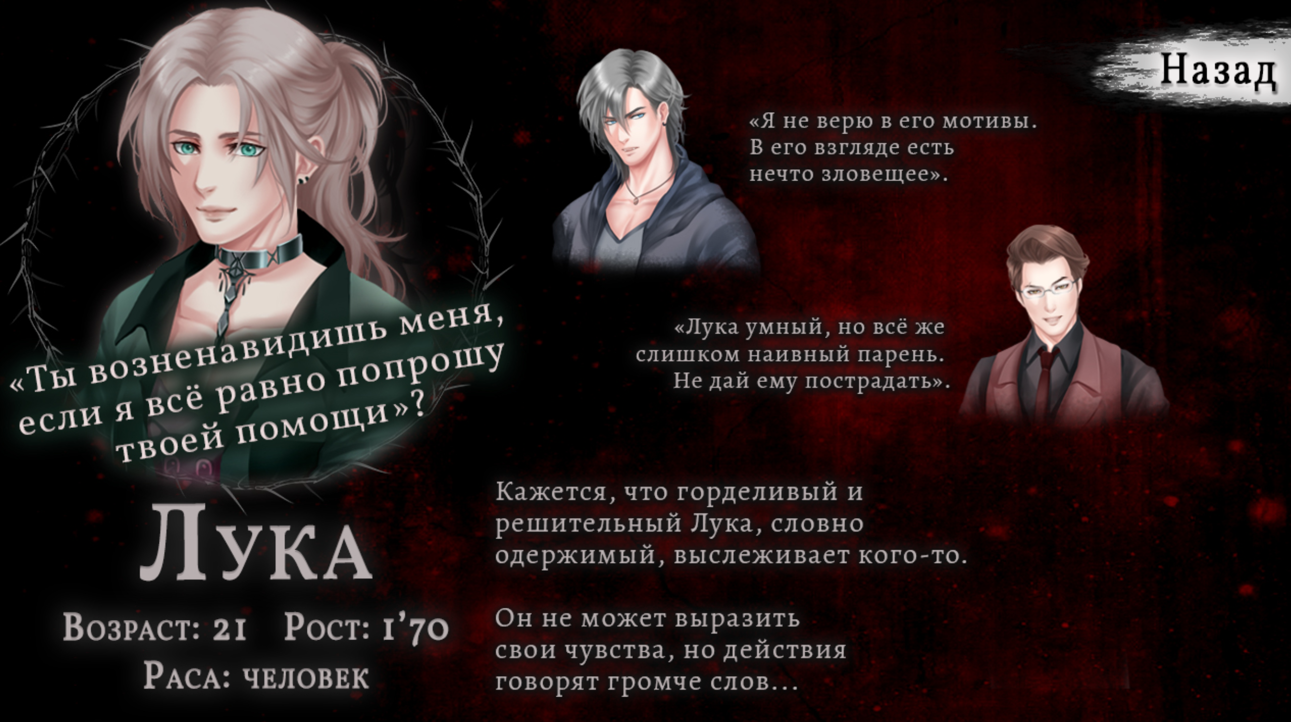 Luka's in-game character profile