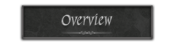 banner titled overview